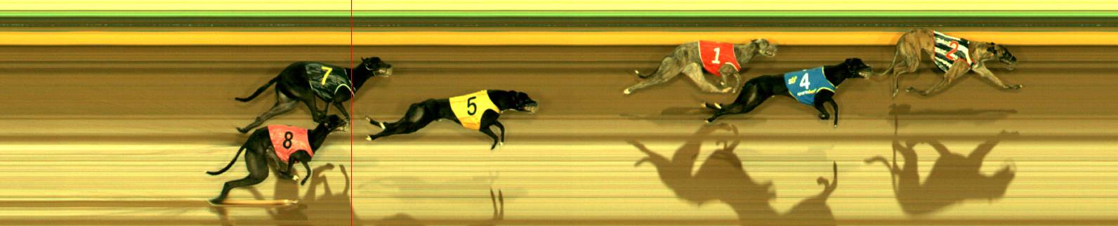 Race result finish photo